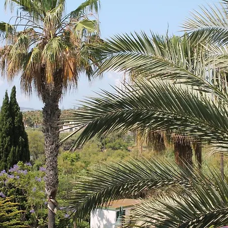 New View Marina - Jungla Del Loro